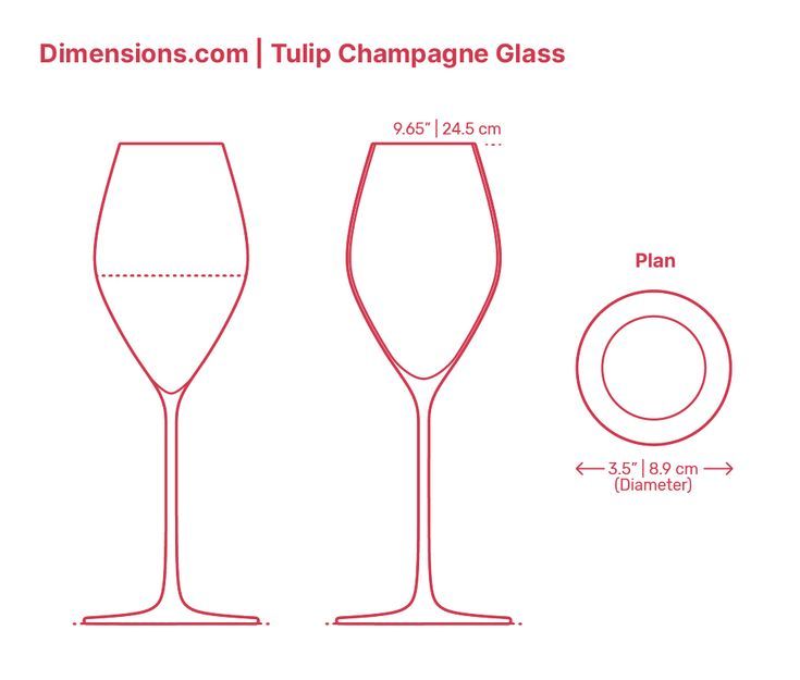 Verre à vin tulipe : à quoi sert-il et quels vins privilégier