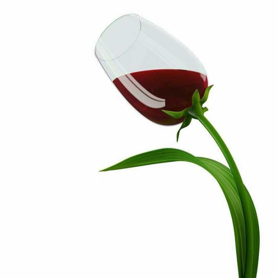 Vins pour verre tulipe