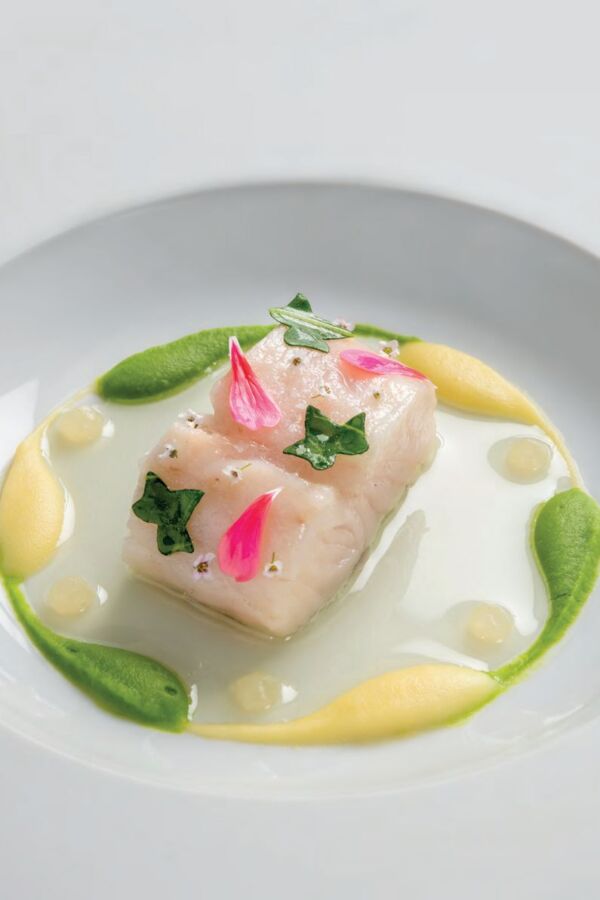 Art culinaire poisson gourmet
