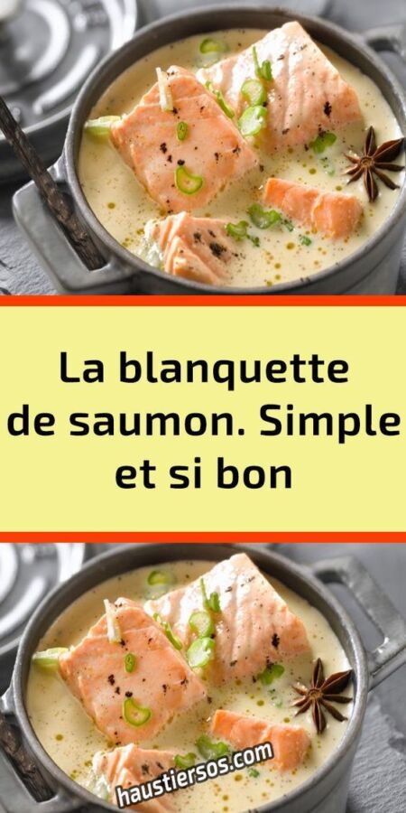 Blanquette de poisson moderne